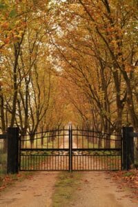 Picture of a wide driveway gate