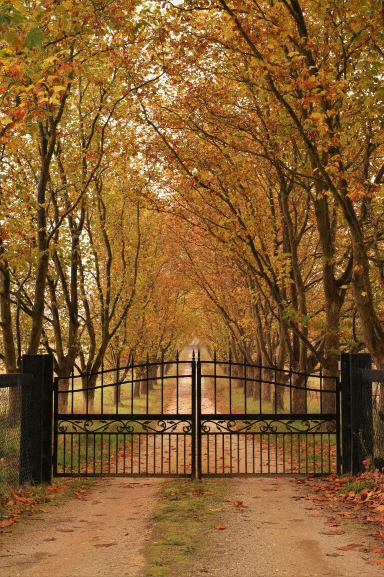 Picture of a wide driveway gate